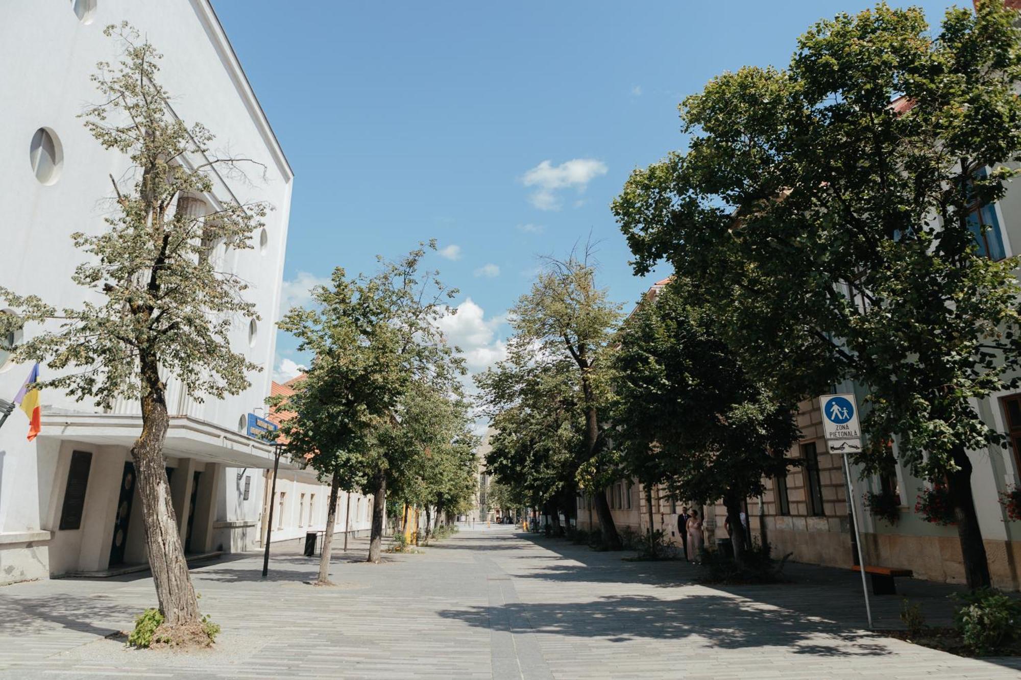 Contessa Central Studio II Клуж-Напока Экстерьер фото